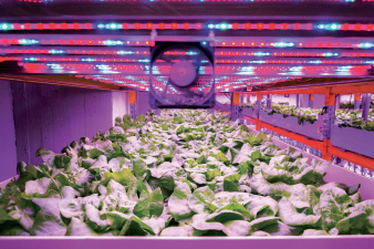 samen_vertical_farming