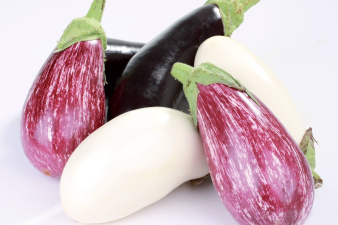 Aubergine