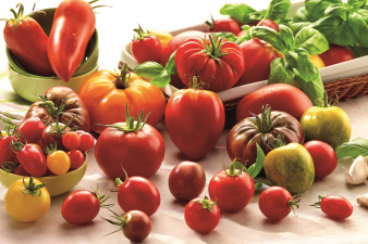 Tomate