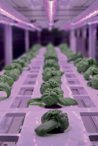 vertical_farming_engagement