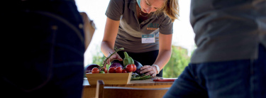 Experten_Voltz_Profi