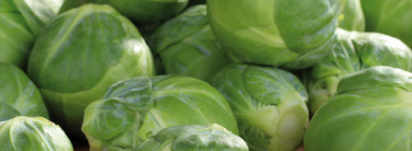 Kohl